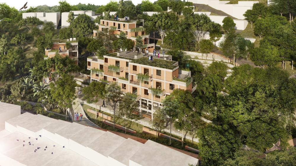 TERRITORIOS VIVOS - imagen 2