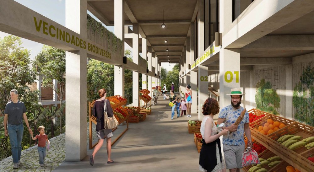 TERRITORIOS VIVOS - imagen 3