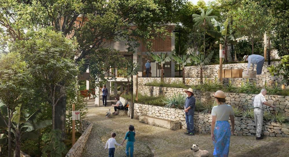 TERRITORIOS VIVOS - imagen 5