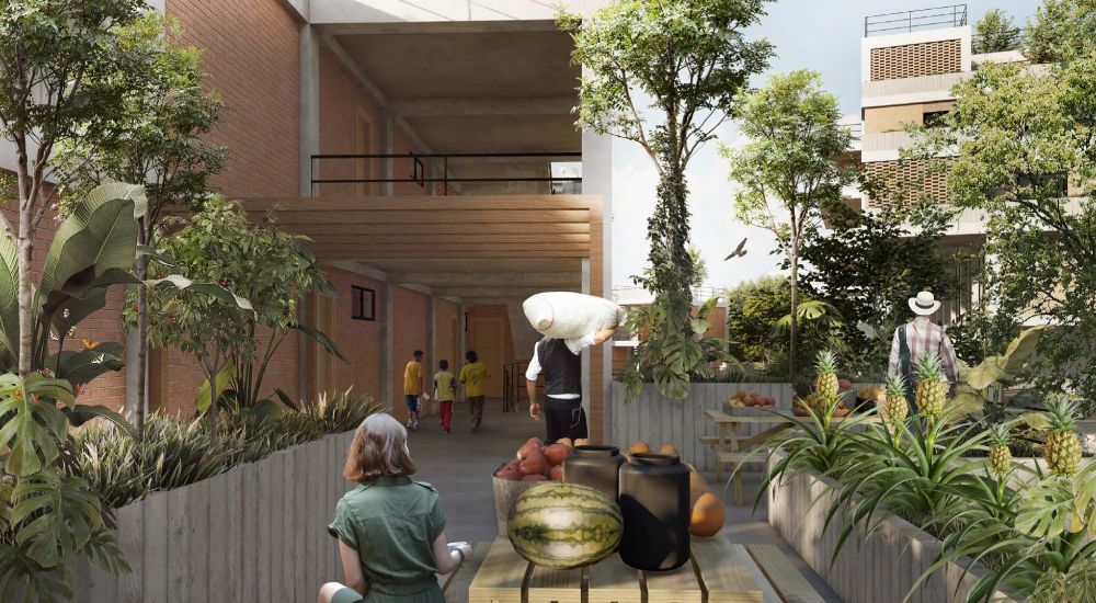 TERRITORIOS VIVOS - imagen 6