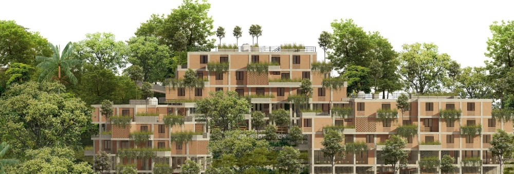 TERRITORIOS VIVOS - imagen 8