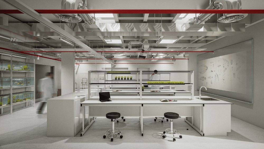 Estación ambiental y recursos hídricos Lago Titicaca, Chañi - La Paz - imagen 10