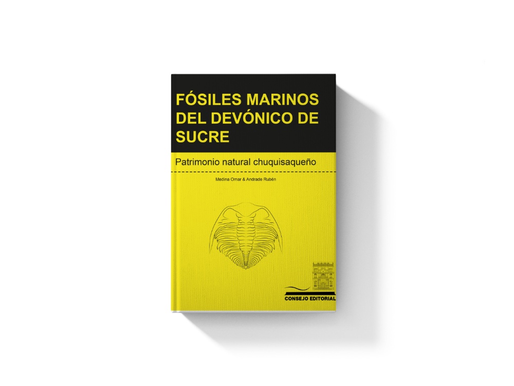 Fósiles marinos del devónico de sucre