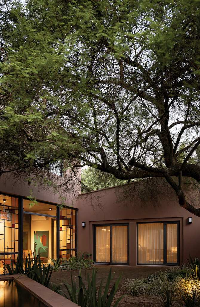 CASA [EN] TORNO AL ÁRBOL - imagen 4