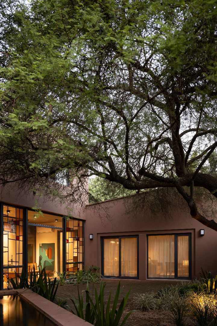 CASA [EN] TORNO AL ÁRBOL - imagen 7