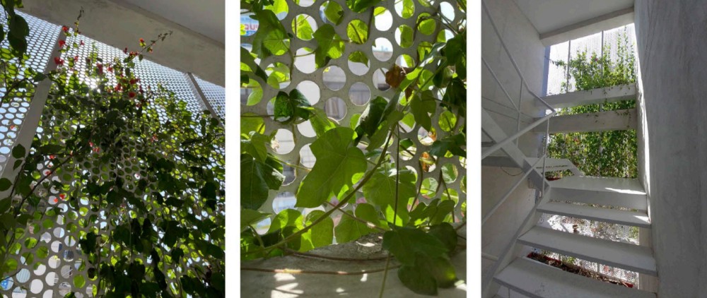 Edificio Cabrera - imagen 3