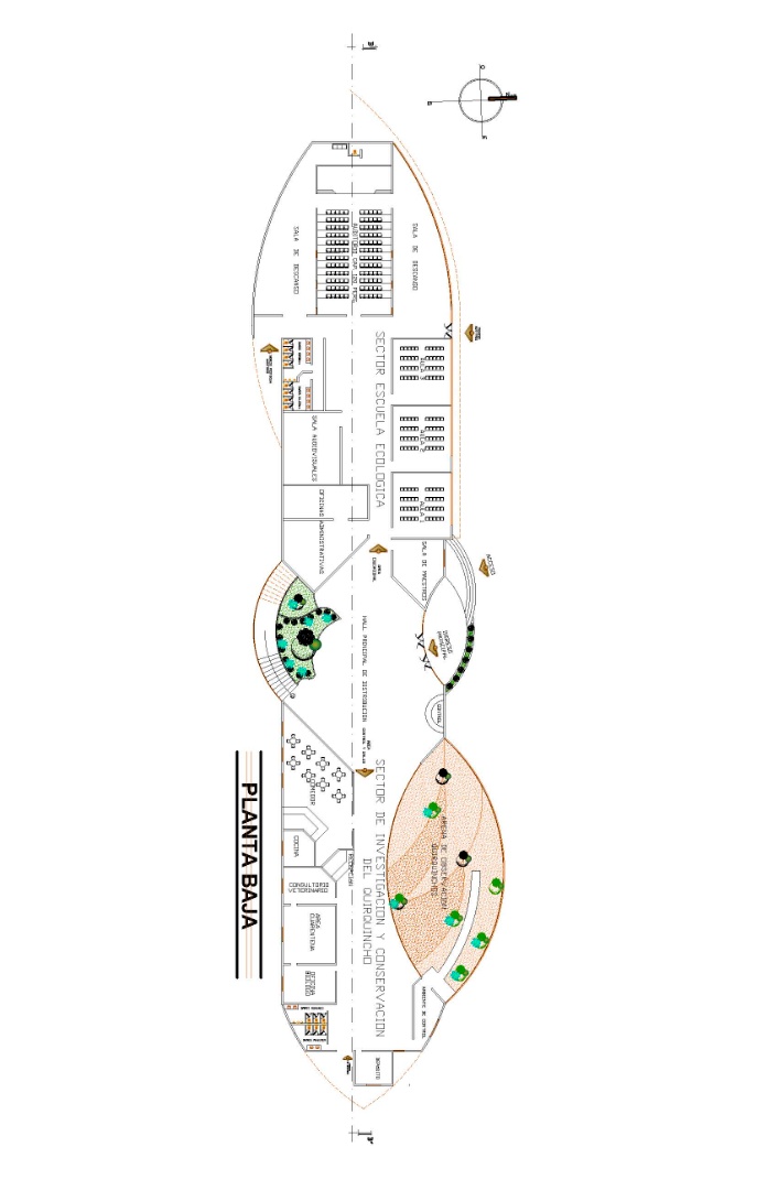 CENTRO DE INVESTIGACION Y CONSERVACION DEL QUIRQUINCHO – ESCUELA ECOLOGICA - imagen 4