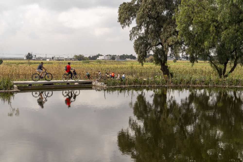 Jardin de Agua Xolox - imagen 5