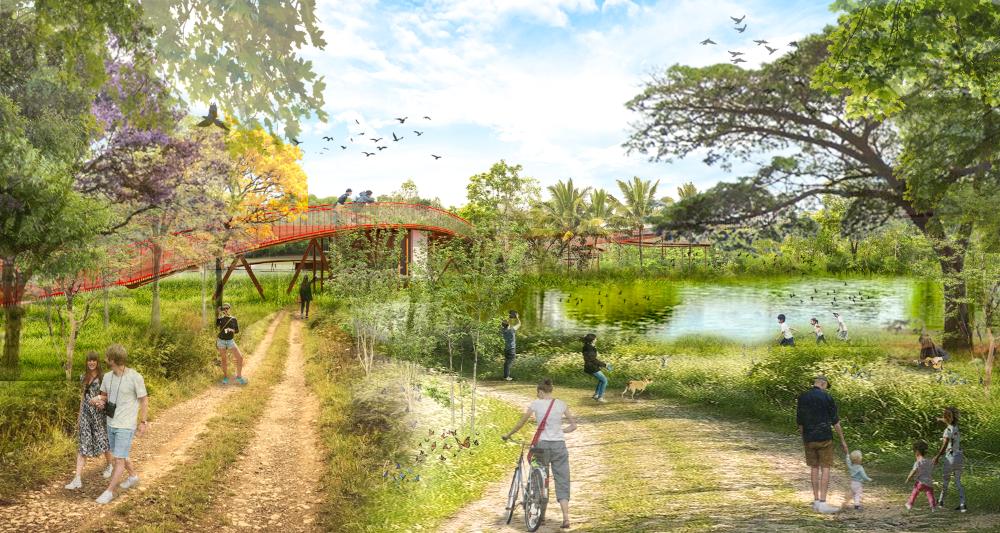 Intervención Ecológica, Propuesta de Renovación del Sector de Las Cabañas del Piraí con Arquitectura Mimetizada - imagen 2