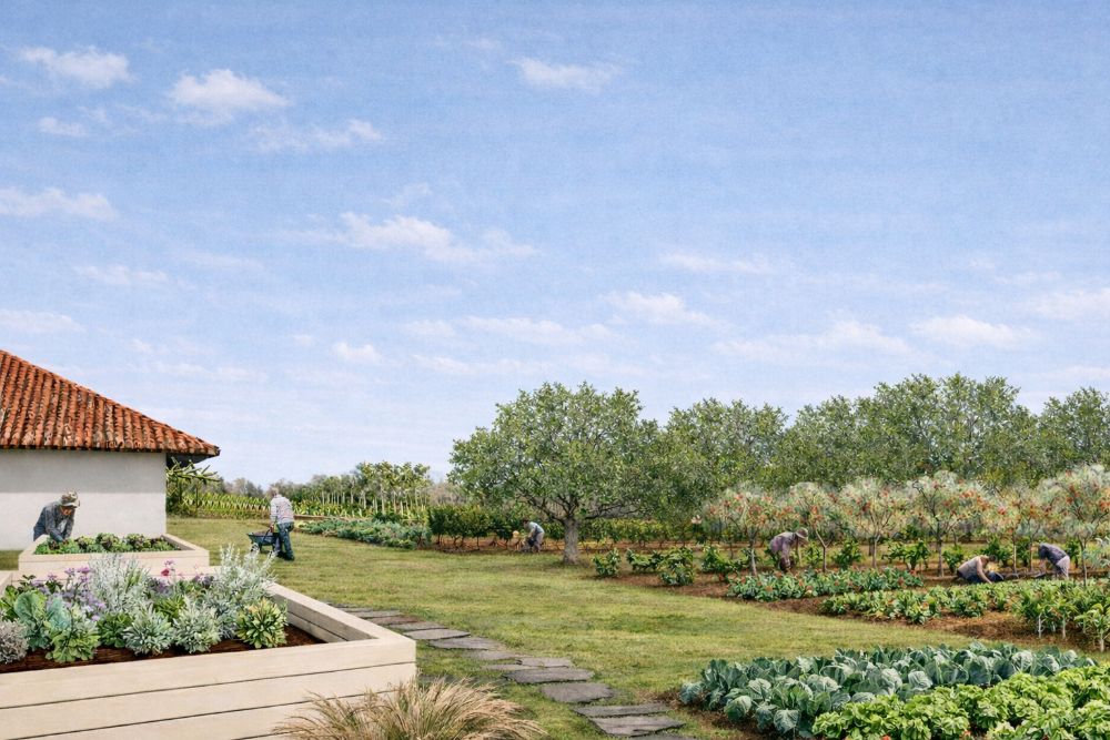 Tejido Vivo Amazónico