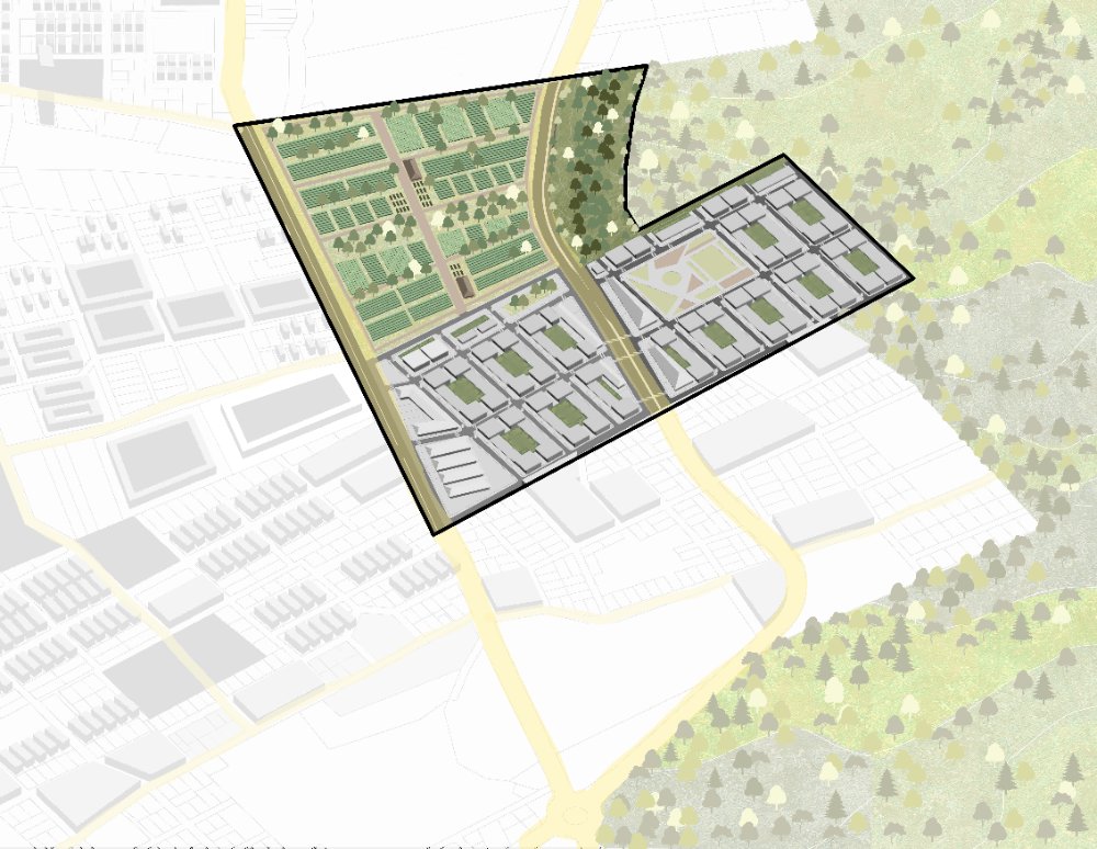 Tejido Vivo Amazónico - imagen 2