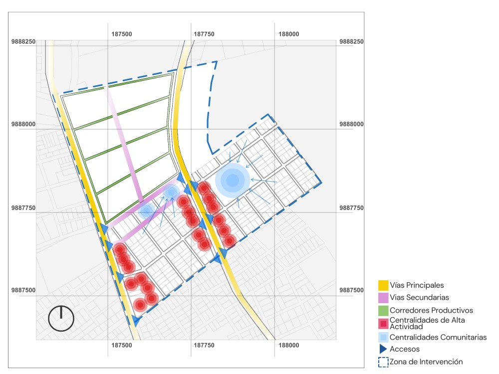 Tejido Vivo Amazónico - imagen 3