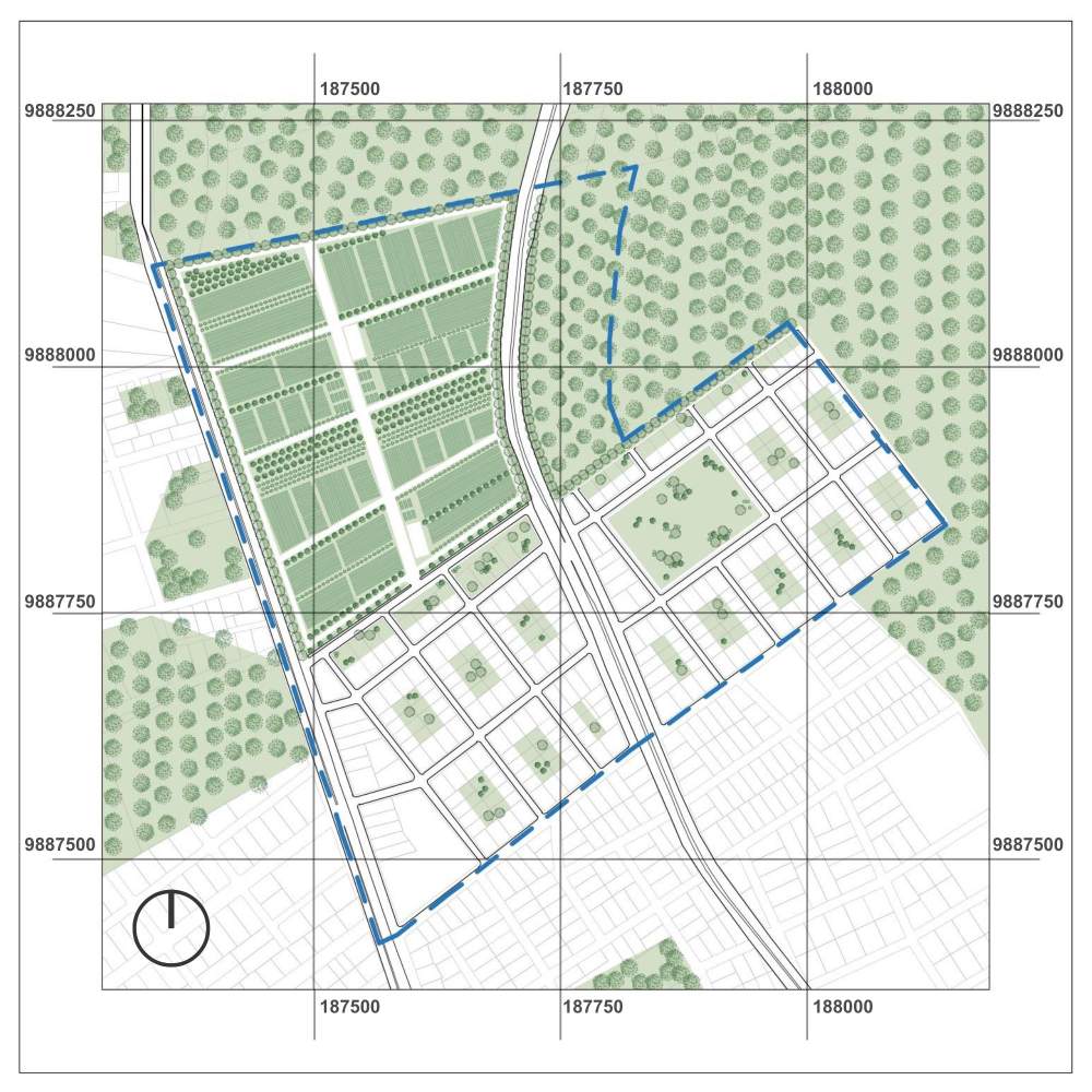 Tejido Vivo Amazónico - imagen 4