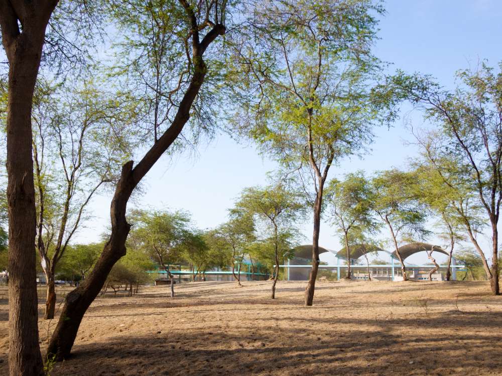 Nuevo Taller de Arquitectura y Fab Lab de Udep - imagen 10