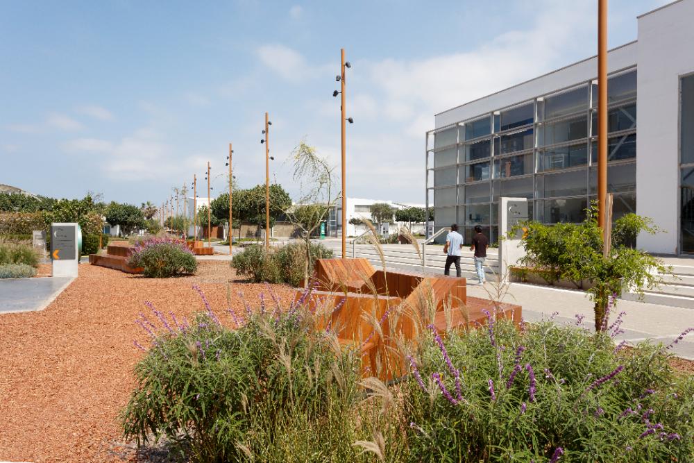 Alameda Hipocampo - imagen 2