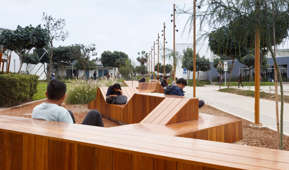 Alameda Hipocampo - imagen 3