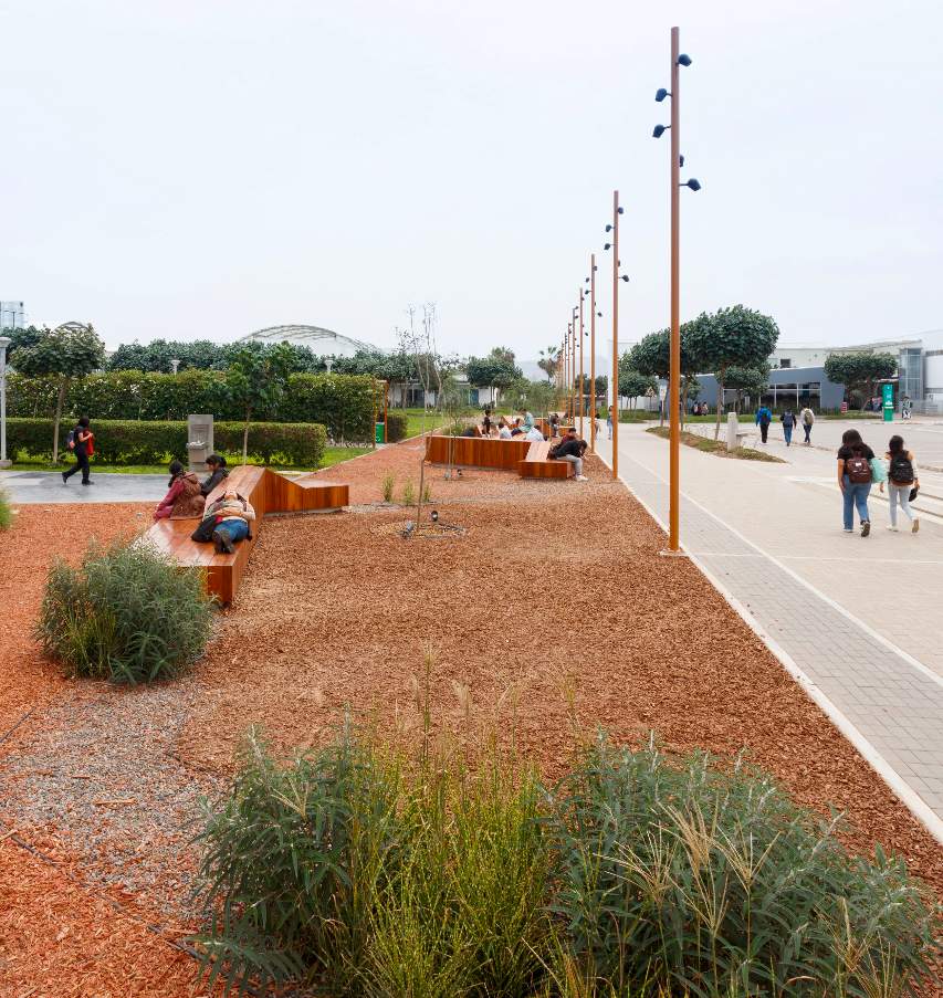 Alameda Hipocampo - imagen 5