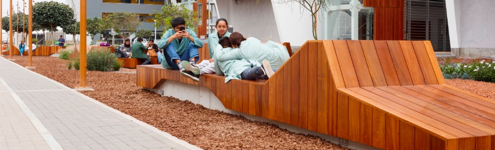 Alameda Hipocampo - imagen 6