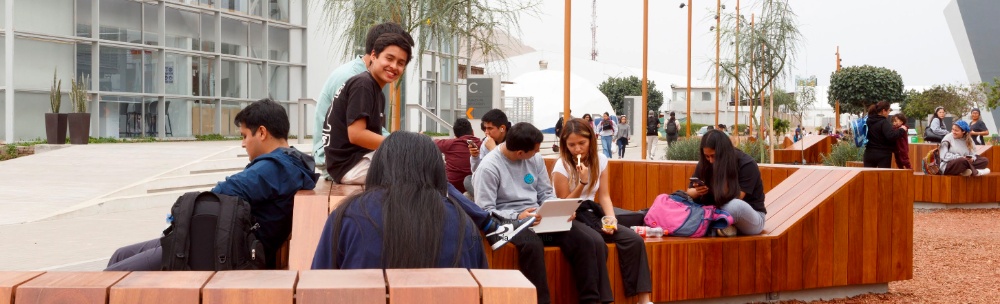 Alameda Hipocampo - imagen 7