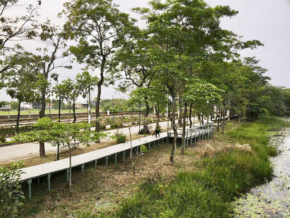  La reconquista del paisaje del río Nechí - imagen 10