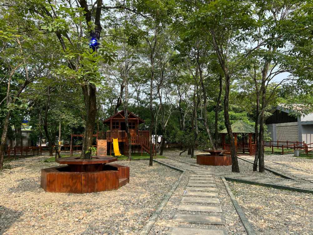  La reconquista del paisaje del río Nechí - imagen 11