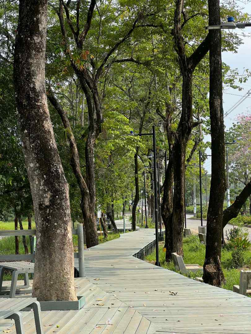  La reconquista del paisaje del río Nechí - imagen 12