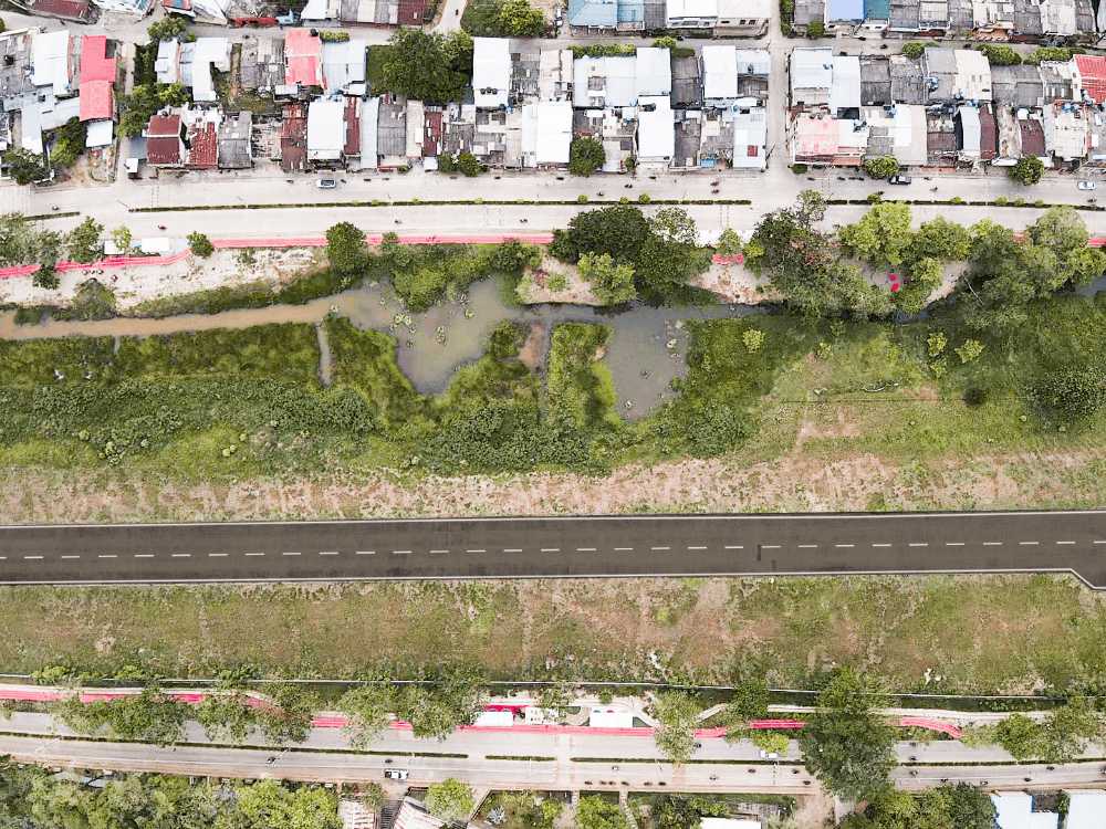  La reconquista del paisaje del río Nechí - imagen 18