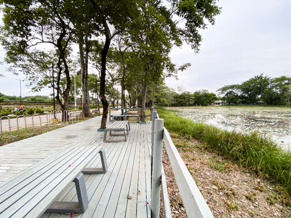  La reconquista del paisaje del río Nechí - imagen 19