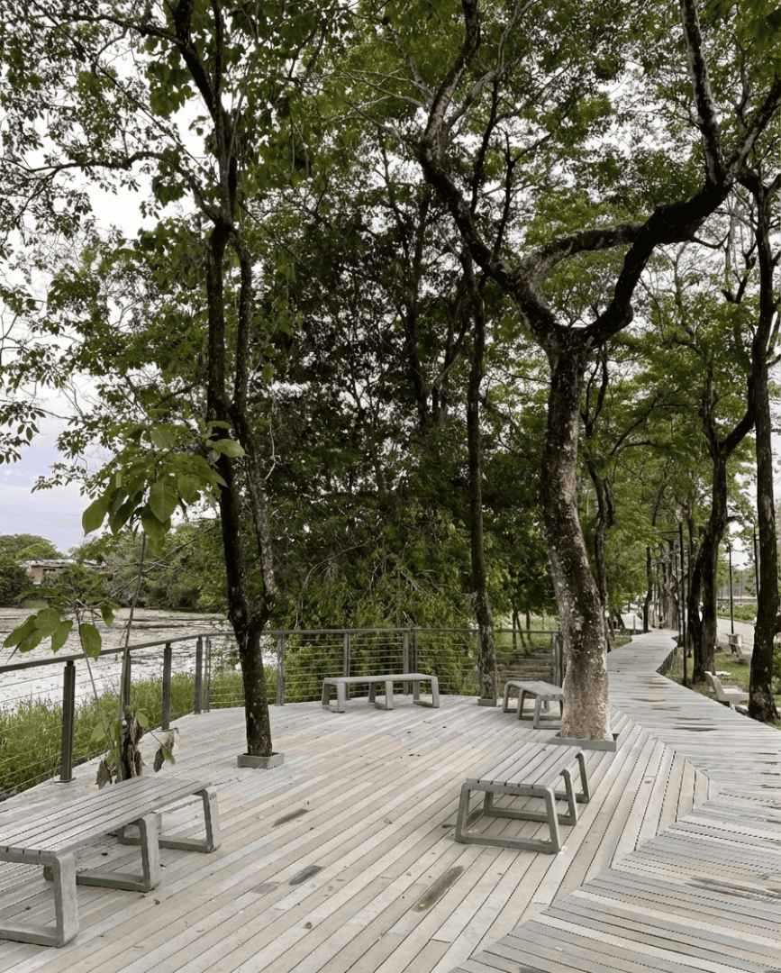  La reconquista del paisaje del río Nechí - imagen 23