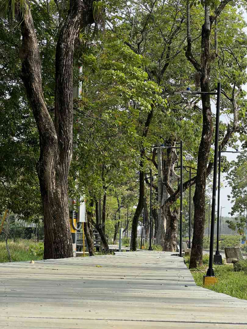  La reconquista del paisaje del río Nechí - imagen 24