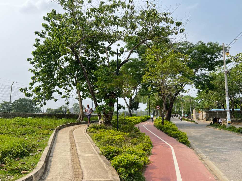  La reconquista del paisaje del río Nechí - imagen 7