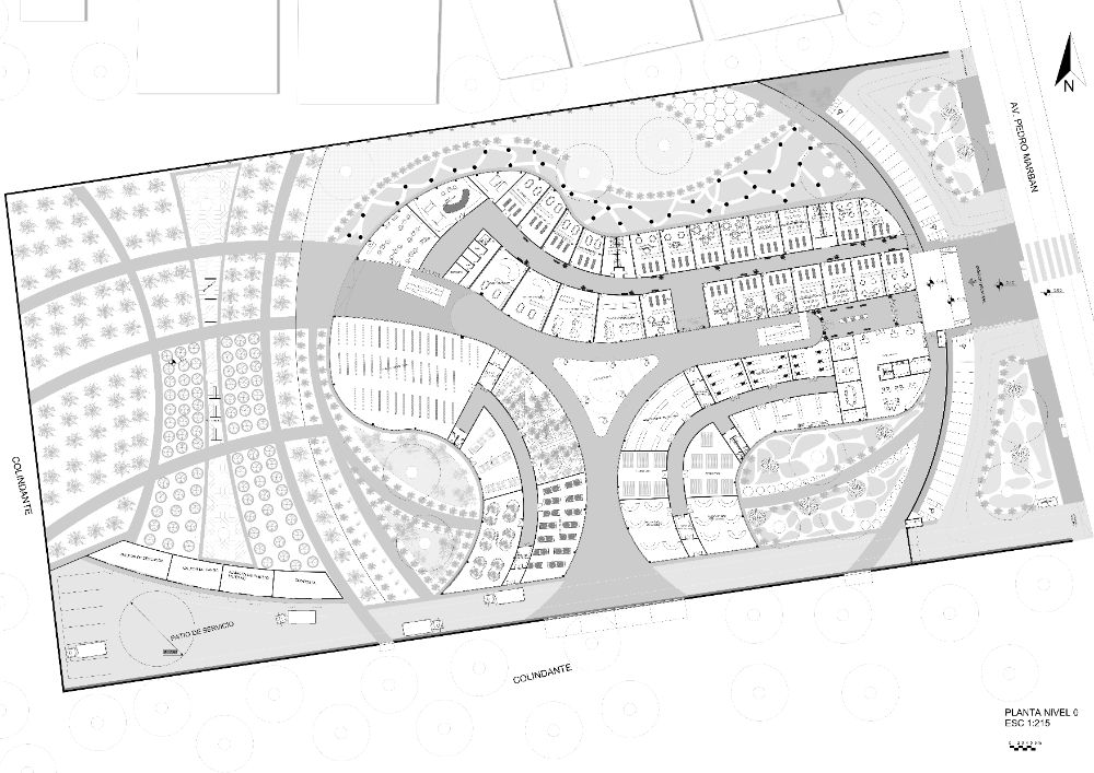 Centro de Desarrollo Productivo Horticultural Para Personas con discapacidad Intelectual y Psíquicas - imagen 6