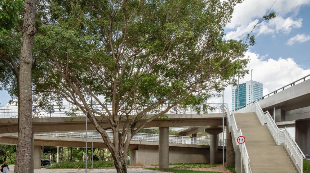 Ciclopassarela Jornalista Erika Sallum - imagen 3