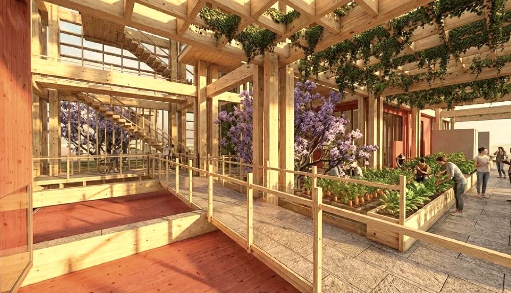 SUTURA BIOTECNOLÓGICA