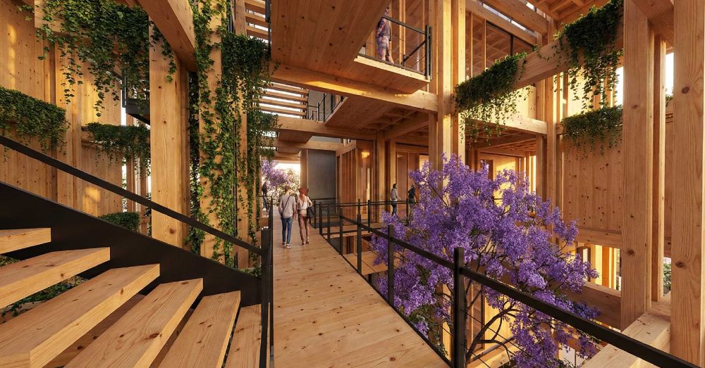 SUTURA BIOTECNOLÓGICA - imagen 2