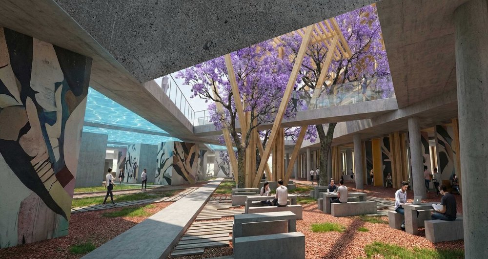 SUTURA BIOTECNOLÓGICA - imagen 3