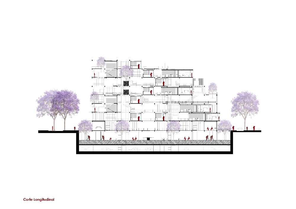 SUTURA BIOTECNOLÓGICA - imagen 5