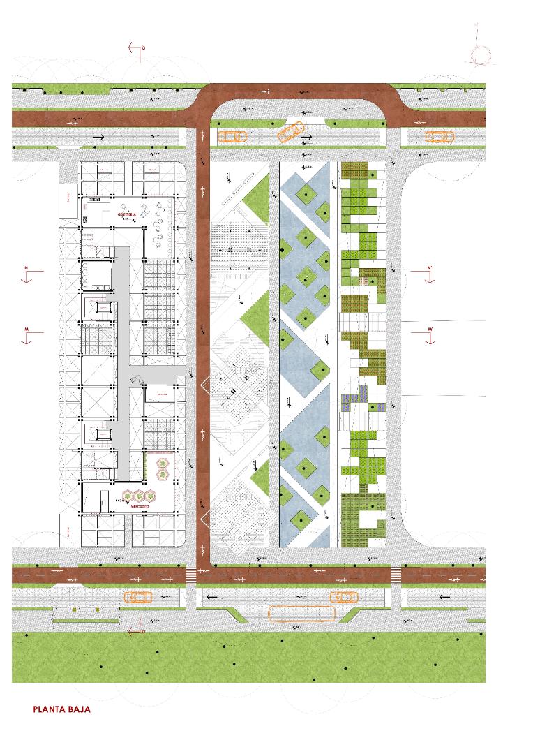 SUTURA BIOTECNOLÓGICA - imagen 6