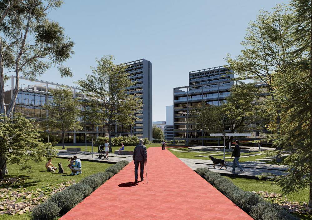 CONVIVIUM VERDE - imagen 4