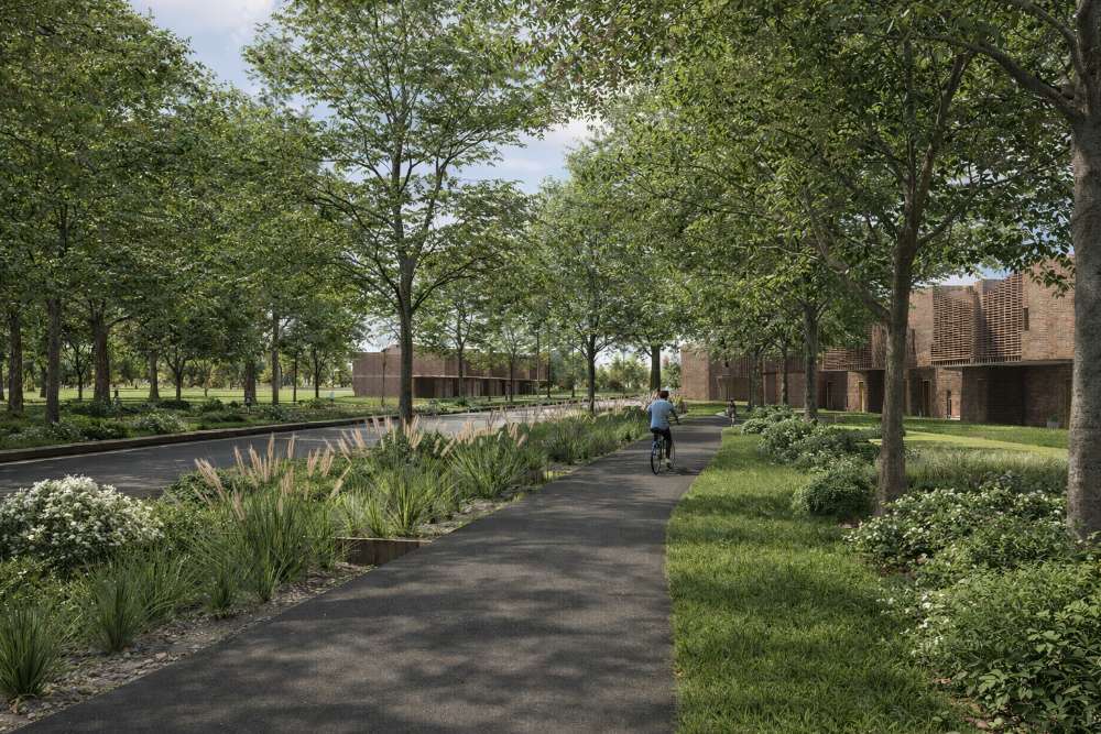 Raíces Resilientes: Biohábitat Amazónico - imagen 2