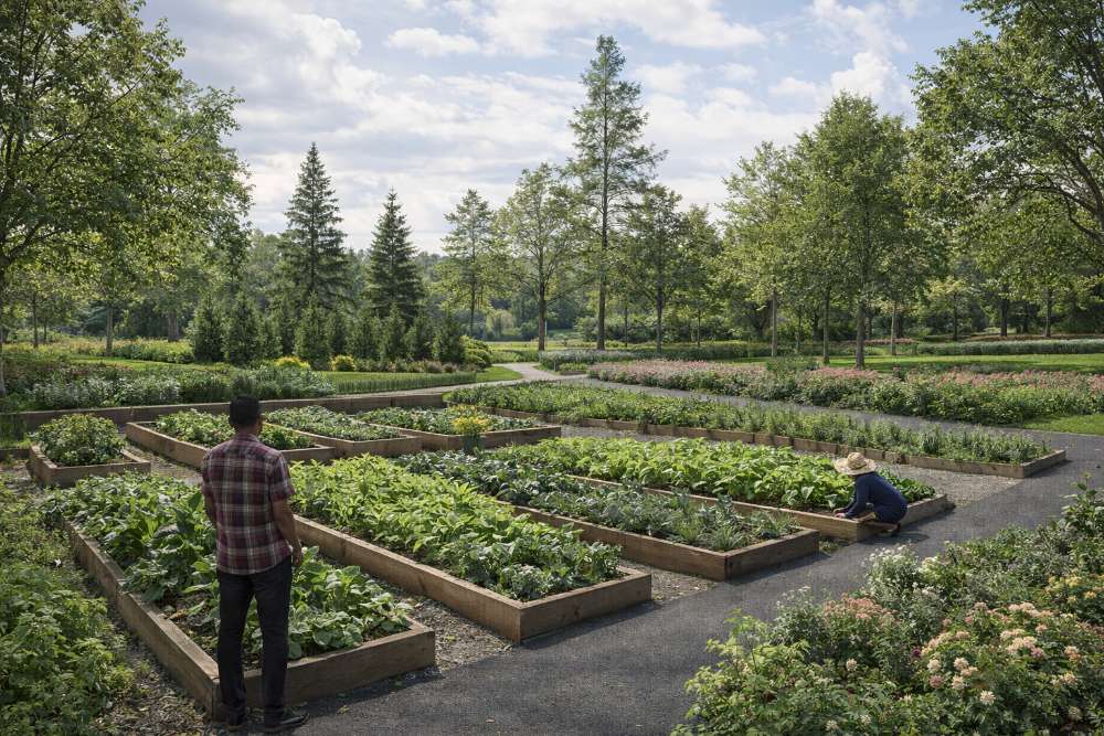 Raíces Resilientes: Biohábitat Amazónico - imagen 3