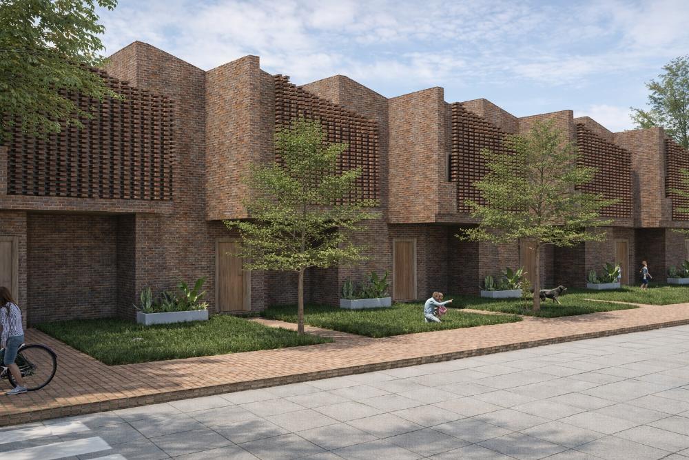 Raíces Resilientes: Biohábitat Amazónico - imagen 3