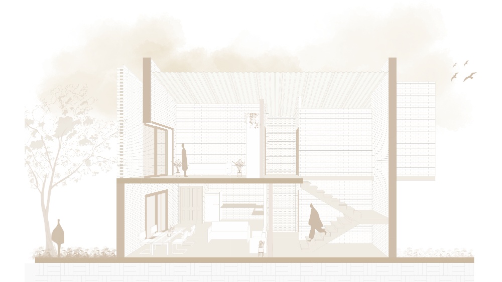 Raíces Resilientes: Biohábitat Amazónico - imagen 5