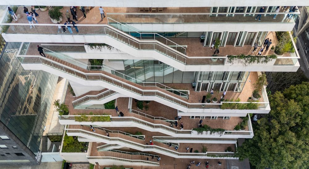 CEFE CHAPINERO – PARQUE VERTICAL - imagen 2