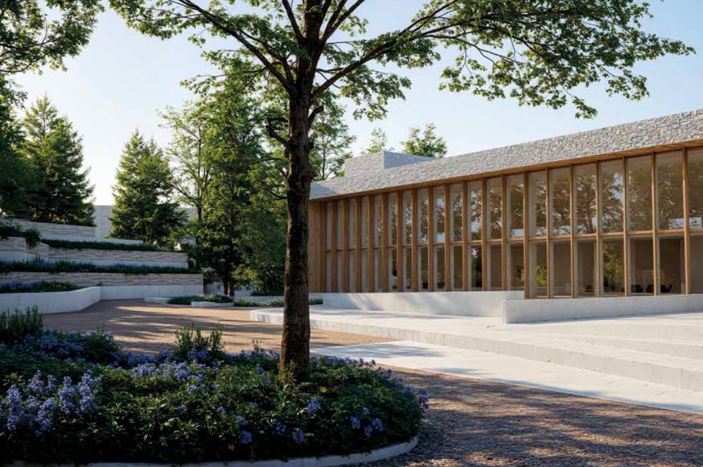 Altura Culinaria - imagen 3