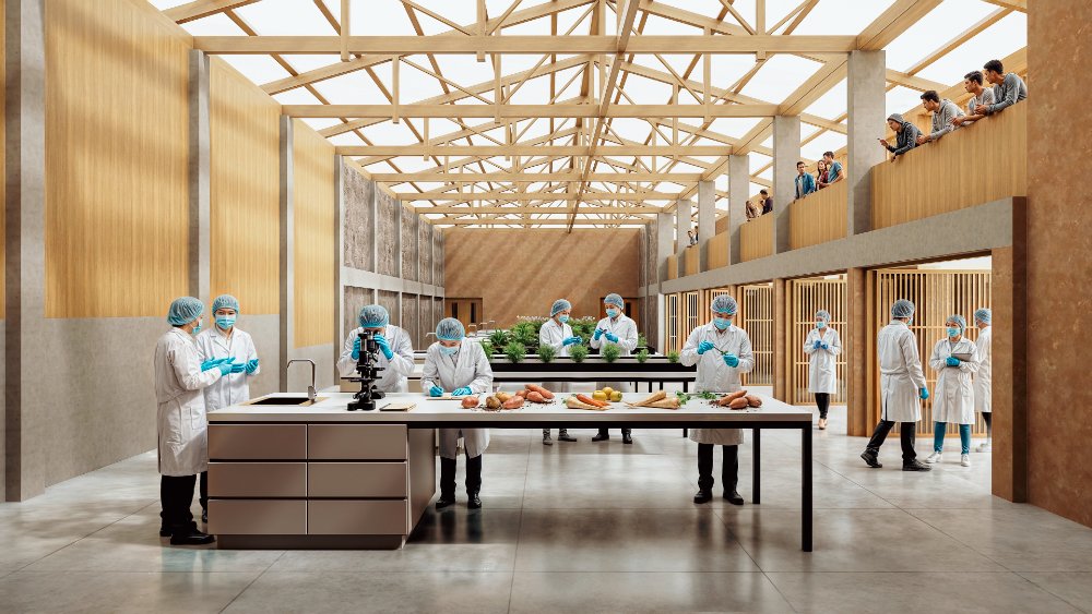 Ampliación y Remodelacion de la Escuela Taller Colca - imagen 7