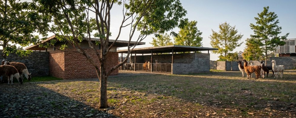 Planta Procesadora de Carne y Derivados de Llama Challapata - imagen 5