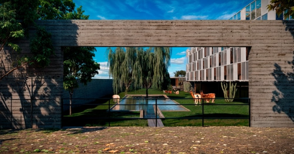 Planta Procesadora de Carne y Derivados de Llama Challapata - imagen 6