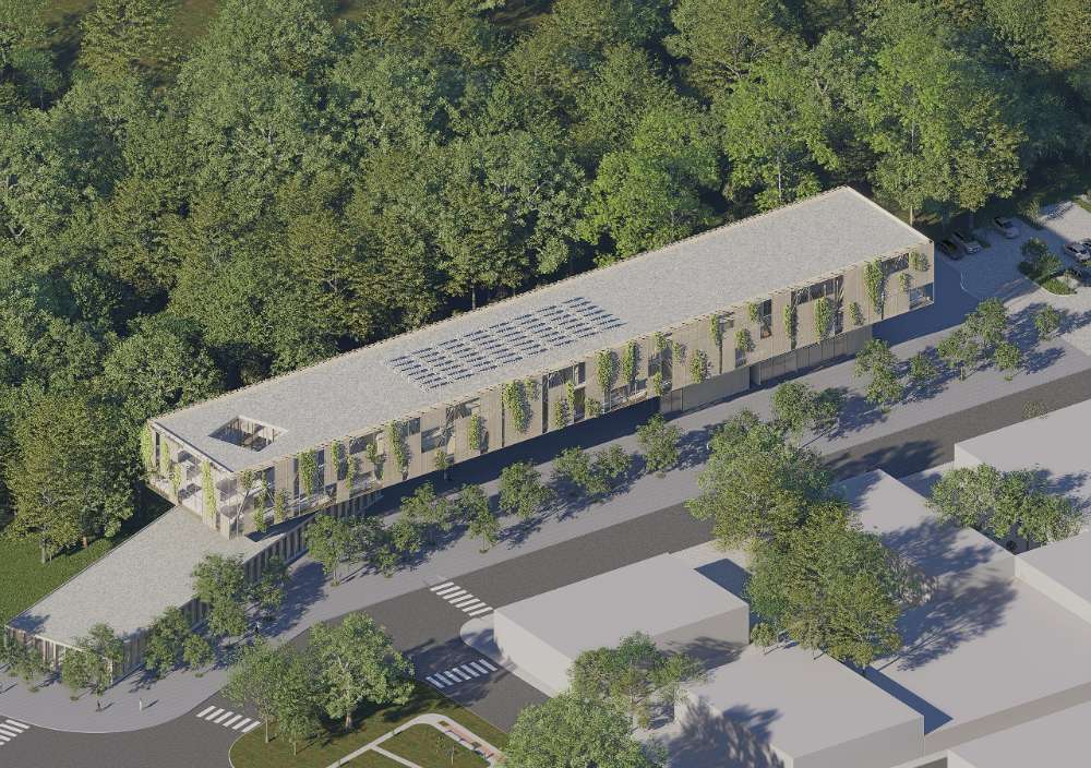 Centro de Investigación y Preservación de Vida Silvestre, Curichi La Madre - imagen 2