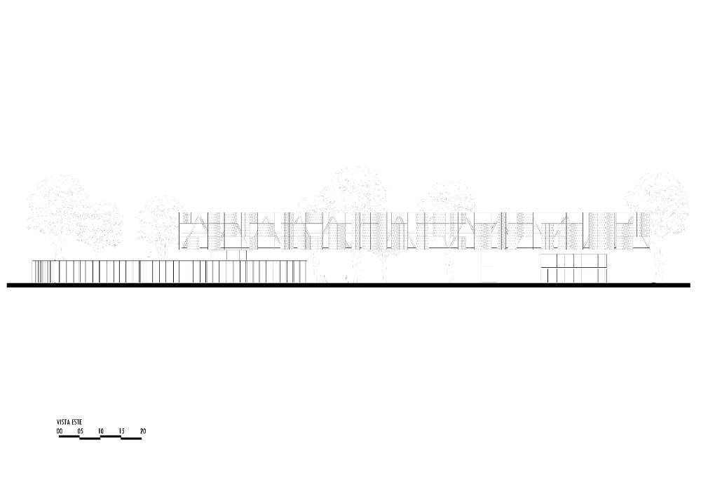 Centro de Investigación y Preservación de Vida Silvestre, Curichi La Madre - imagen 4